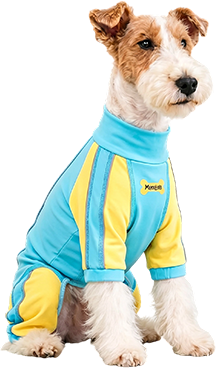 Body y conjuntos para perros