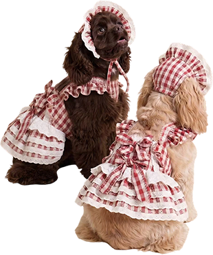 Vestidos para perros