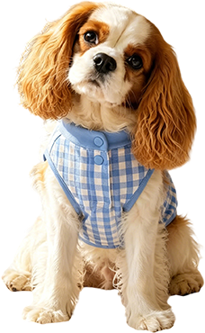 Ropa de abrigo y chalecos para perros