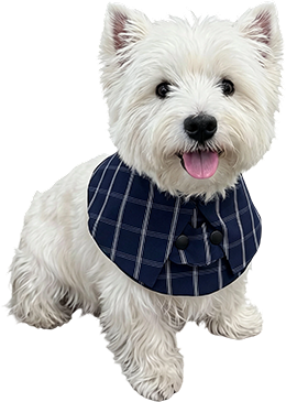 Baberos para perros