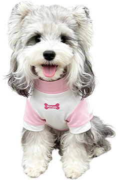 Tops para perros