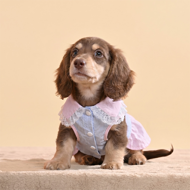 Vestido de perro con princesa y arco dulce