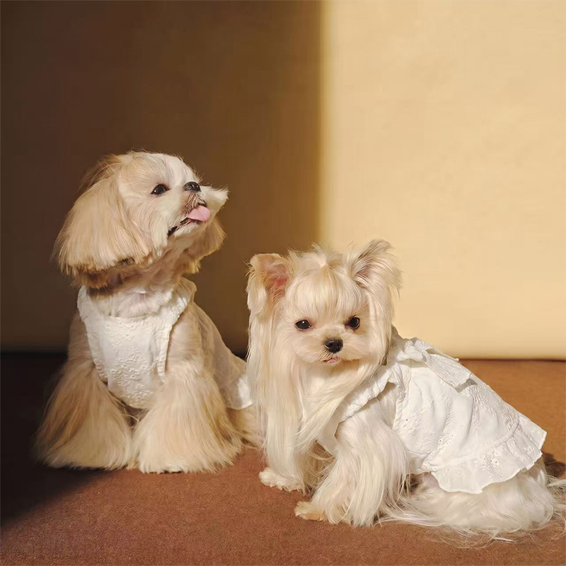 Vestido de perro bordado estilo francés Elegante ropa para mascotas