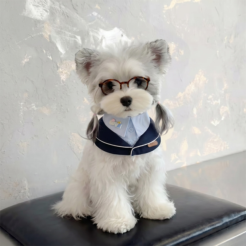 Juego de baberos para perros de dos piezas estilo universitario, ropa de mascotas preppy