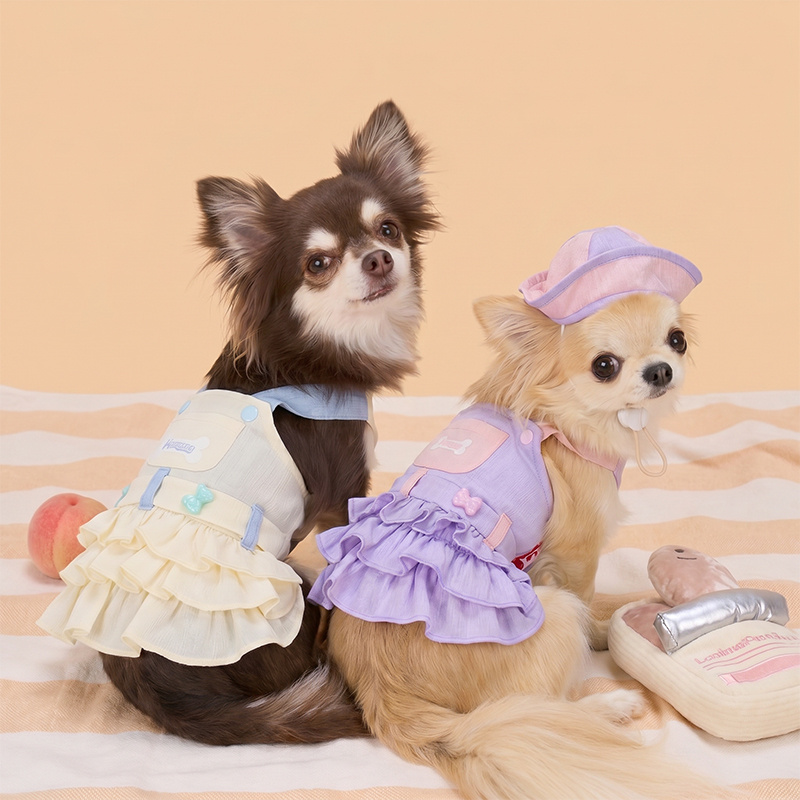 Vestido de pastel Lolita