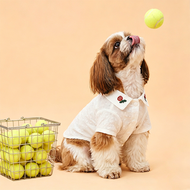 Blusa de perro bordada en crema Elegante camisa para mascotas