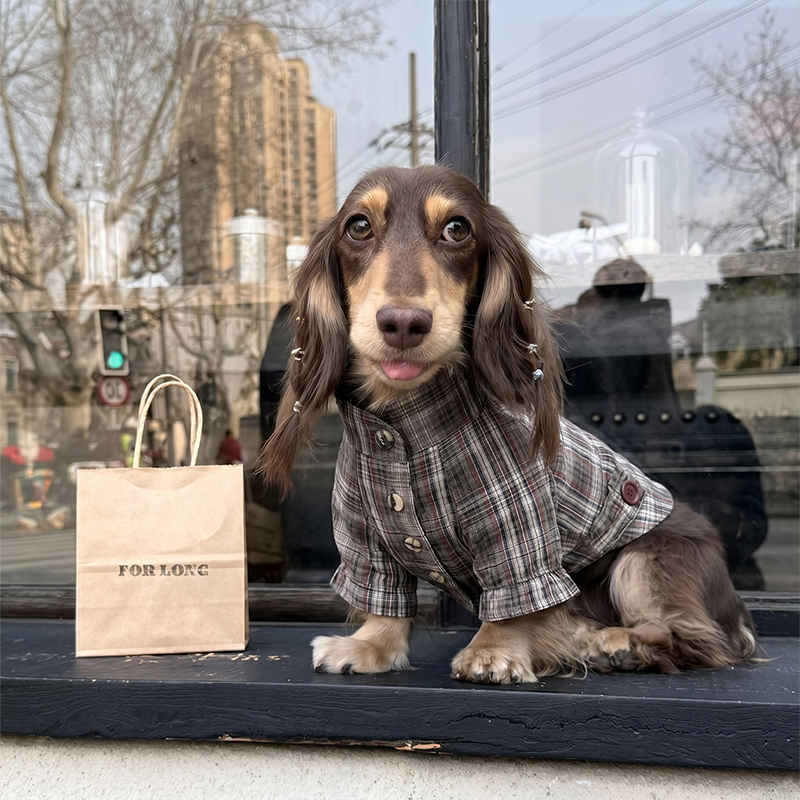 Camisa rústica para perros a cuadros marrones, ropa informal para mascotas al aire libre