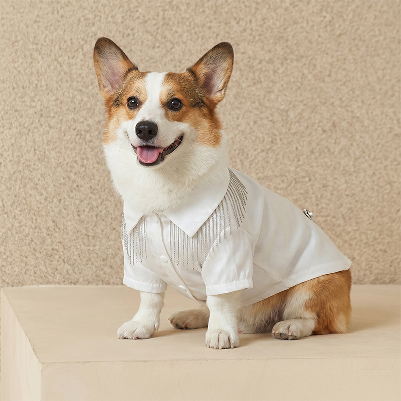 Vestido lolita para mascotas con borla estilo genial