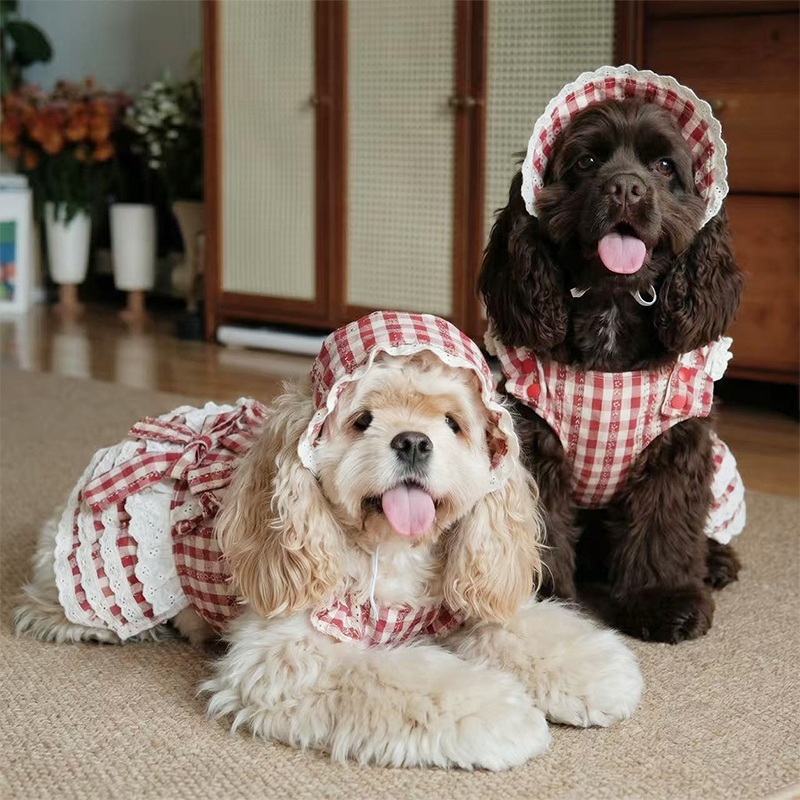 Vestido de perro coreano dulce Lolita, lindo atuendo de fiesta