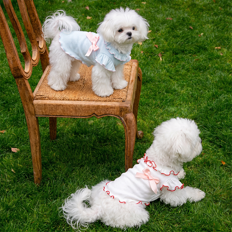 Camiseta sin mangas para perro con lazo y ribete de encaje. Bonita ropa de verano para mascotas