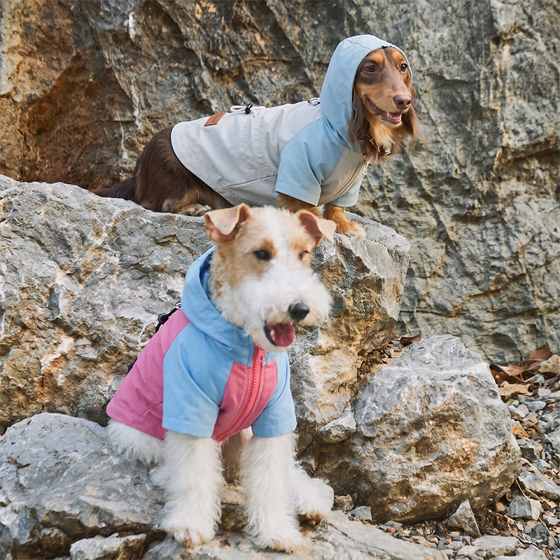 Chaqueta con capucha para perros, impermeable, resistente al viento, para mascotas al aire libre
