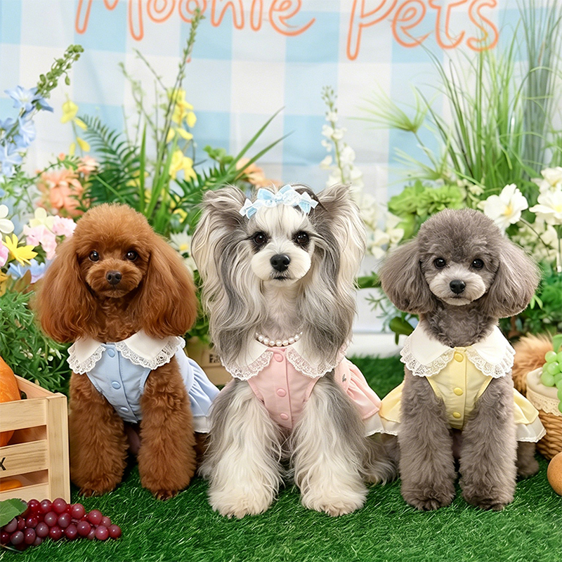 Vestido de perro con cuello de muñeca francés Elegante ropa para mascotas