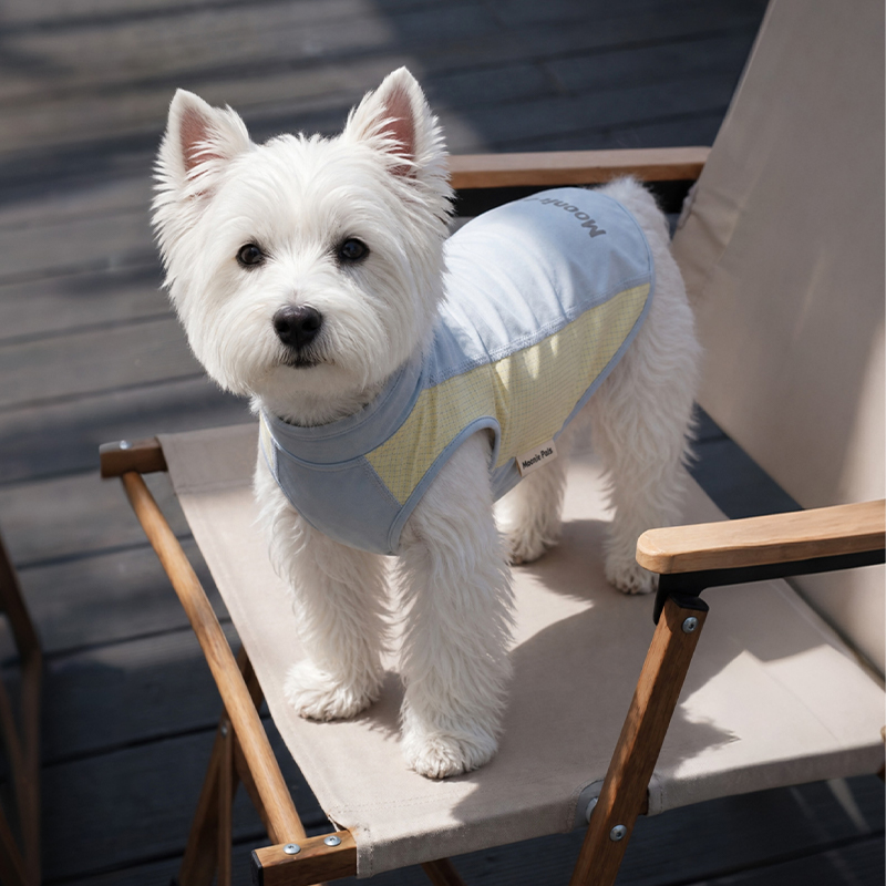 Chaleco refrescante de protección solar con tela de seda helada para mascotas