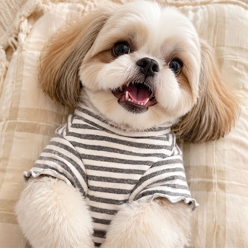 Capa base para mascotas para uso doméstico