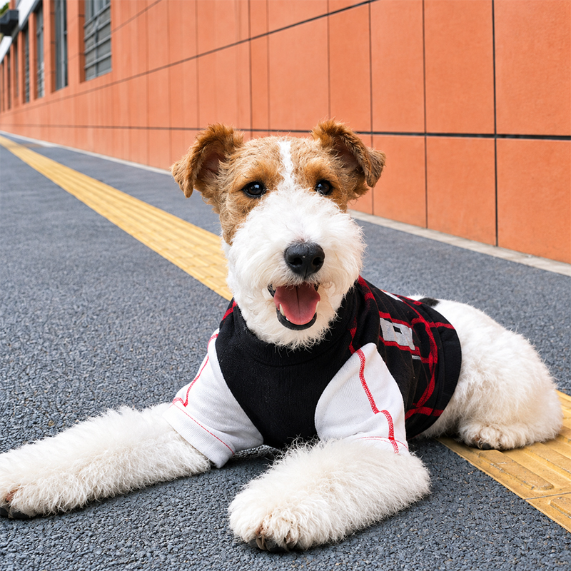 Camiseta deportiva digital Lightning Speed ​​para mascotas
